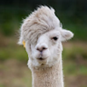 Meet your Posher, Tb